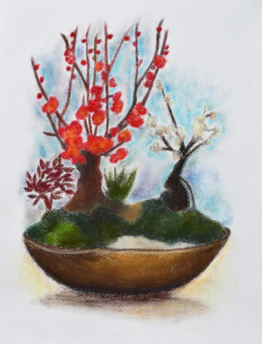 紅白梅図盆栽
