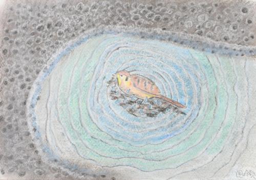 雨上りの水たまり