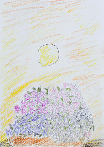 花のある風景シバザクラetc