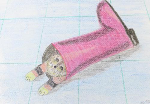 狭いとこ大好き