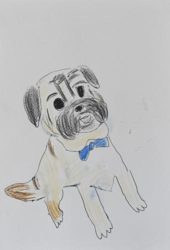 セラピー犬の波太郎君