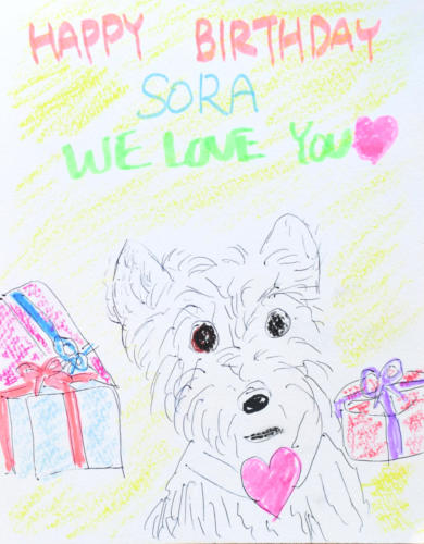  HAPPY-BIRTHDAY-SORA♡