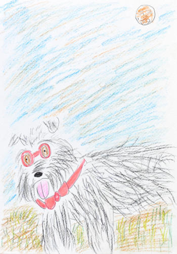 今日の空〜愛犬と散歩〜