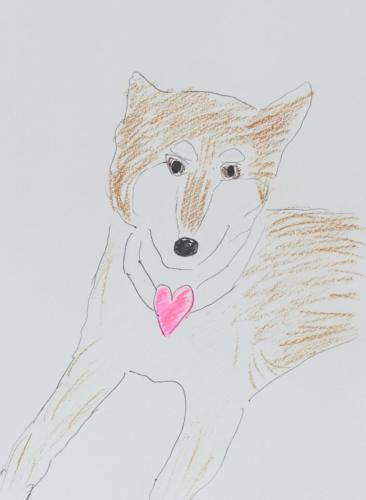 セラピー犬のなつちゃん