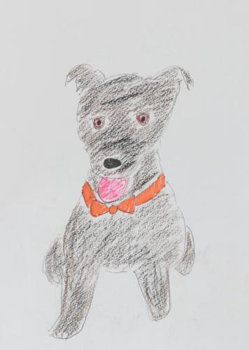 セラピー犬の大五郎君