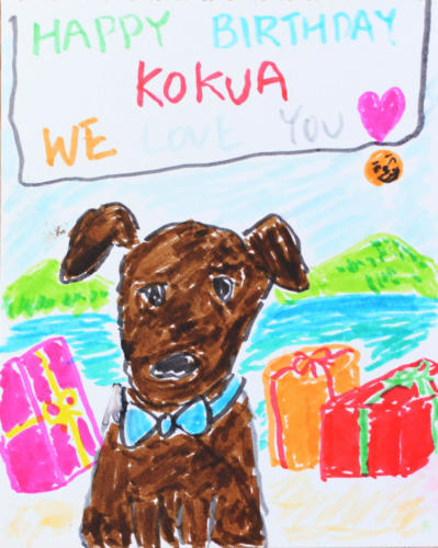 HAPPY-BIRTHDAY-KOKUA♡