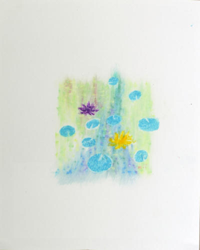 小雨の日、水蓮