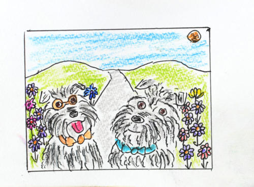 愛犬ムクとギルビー