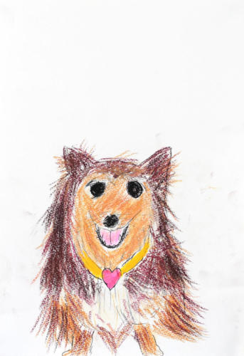 セラピー犬のなつちゃん