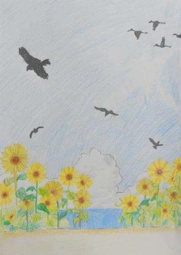 向日葵と空と海